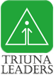 Triuna leaders, трансформация культуры организации
